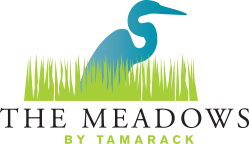tm logo